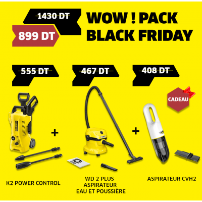 Pack K 2 Power Control + WD 2 Plus V (+ Aspirateur à main CVH 2 cadeau)