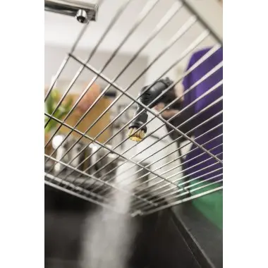 Set de brosses rondes très abrasives (4 pièces)